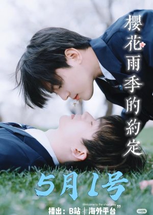 The Agreement of Cherry Blossom Rainy Season (2025)